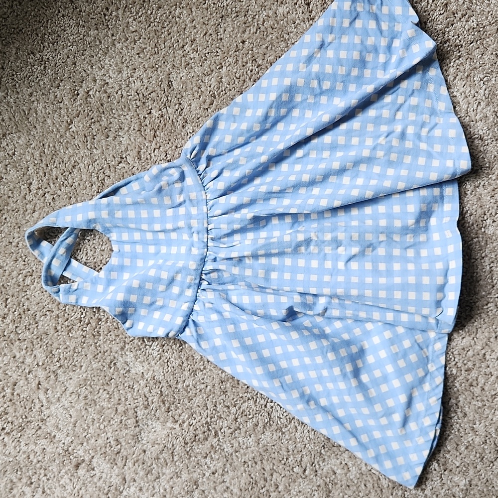 Alice + Ames dress